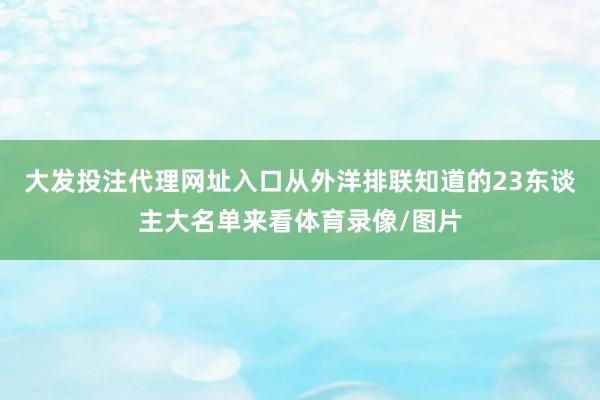 大发投注代理网址入口从外洋排联知道的23东谈主大名单来看体育录像/图片