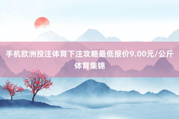 手机欧洲投注体育下注攻略最低报价9.00元/公斤体育集锦