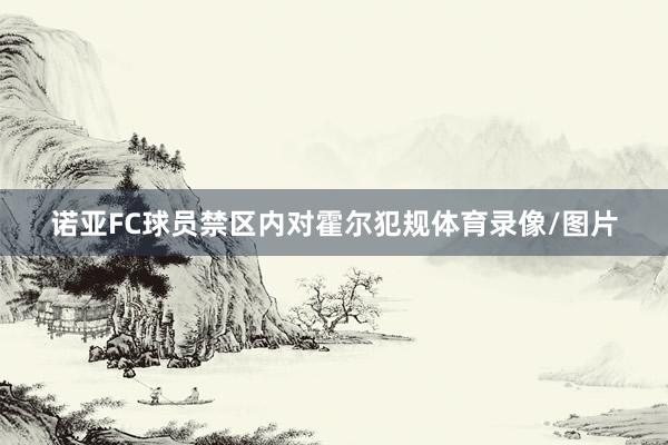 诺亚FC球员禁区内对霍尔犯规体育录像/图片