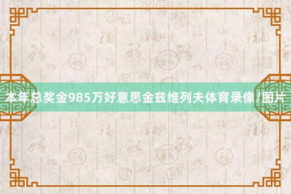 本年总奖金985万好意思金兹维列夫体育录像/图片