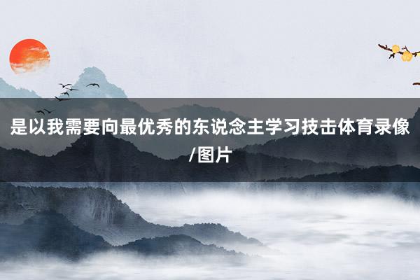 是以我需要向最优秀的东说念主学习技击体育录像/图片