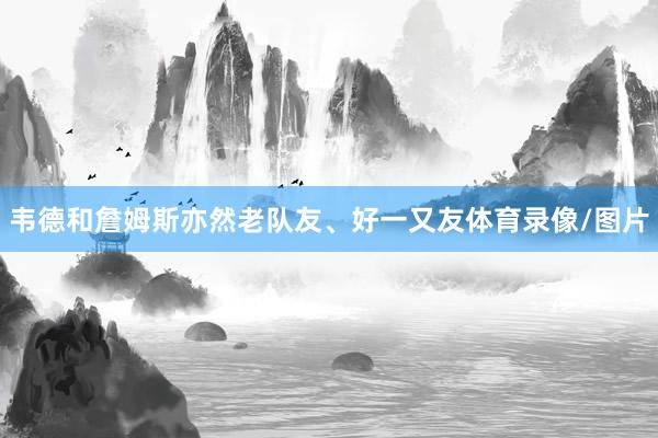 韦德和詹姆斯亦然老队友、好一又友体育录像/图片