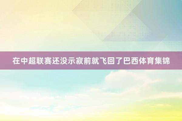 在中超联赛还没示寂前就飞回了巴西体育集锦